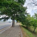 호림강변공원 이미지