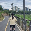 타이어365*송정점 | 서울 자전거 코스 중랑천 자전거길 따릉이 이용 반납 방법 가격
