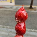 과일사탕탕후루 이미지