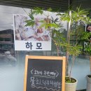 여수광고 | [여수밥집] 현지인이 인정하는 하모샤브샤브 찐맛집, 여수 여양식당 솔직후기!