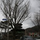 등산로(상) 이미지