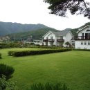 강이있는풍경 이미지