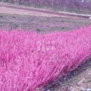 오성농원 이미지