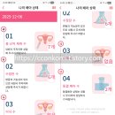 통배 | PGT 검사 통배 2개, 첫 이식 임신 성공 후기 (시험관 통배 확률, 비용)