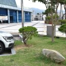 사비농장 이미지