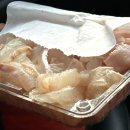 [경남 사천시]삼천포 용궁수산시장 &#39;14번 선미상회&#39; 🎣