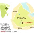 커피의여왕
