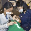 믿음서울치과의원 이미지