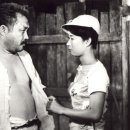 박서방 티스토리