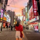 오꼬마루 | 오사카 교토 2박3일 자유여행 일정 : 2일차