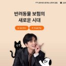 마이주주 이미지