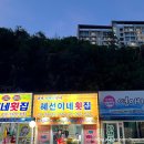 혜선이네횟집 | 속초 자연산회 포떠주는 오징어회 맛집 혜선이네 횟집 솔직후기
