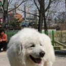 이천동물의료센터 이미지