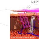 햇빛Hair 이미지