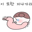 챌린지24