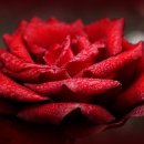 관기초교 병설유치원 이미지