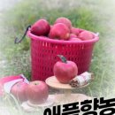향농원 네이버블로그