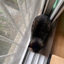 씨유 마포도화센트럴점 | 곧마흔의데이트/주말일상/마포떡볶이/공덕카페/몽탄주말웨이팅후기/더현대팝업/디네댓미니언즈/영종도야경