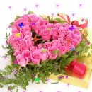 홍시노래연습장 이미지