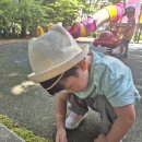 ♡6월 정약용 자연놀이(자연in) - 개미를 만났어요/ 흙바닥에 그려보기♡(바른반) 이미지