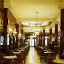 토르토니
