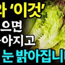 상추 효능 부작용 상추 칼로리 이미지