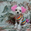 예뻐지다 이미지