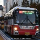 부일여객 이미지