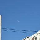 천수목욕탕 | 일본 소도시 마쓰야마 여행 제주항공 생애 첫 혼자여행!_1일차 모토야마/에히메의식탁/도고온센 🍊♨️