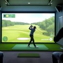 선인스크린 이미지