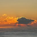 일성축산 | 영덕대게원조 차유마을 일성호선주집 일성대게민박