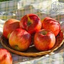 함양농장 이미지