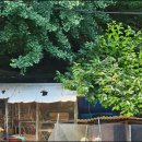 방원가든 이미지