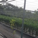 한실농장 이미지