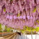 창북중학교 도서관 | 서울 등나무꽃 명소 덕수궁 정독도서관 성북동 창림초등학교 창북중학교