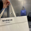 바오바오 | 후쿠오카 2박 3일 | 바오바오 이와타야, 한큐백화점 득템 후기