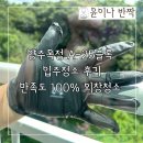 양주시 옥정동 LH행복주택 A-25블록 입주청소 후기, 고객 만족도 100% 외창청소