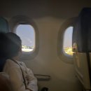 원피씨 | 겁먹고 간 냐짱 여행... 생각보다 더 좋잖아?