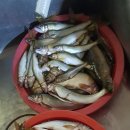 팔공포차 - 동구 검사동 | 팔공포차