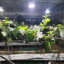 세광농장 이미지