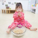 24절기 생태교육 이미지