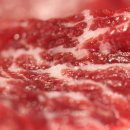 안동뭉티기 이미지