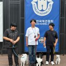 브이독(V-dog) | 수원 멍스스쿨 TEAM : 한국애견협회 2025 KKC 복종훈련대회 후기