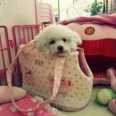 폴리파크 반송점 이미지