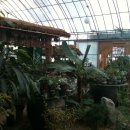 새집만석꾼 이미지