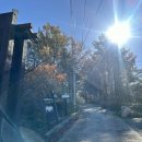[BAC명산 100] 2번째 태백산 가을 태백산 최단코스 단풍 산행후기(유일사코스)