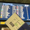 야간비행 | 중국 입국신고서 작성 :: 춘추항공 인천-상하이 야간비행 후기