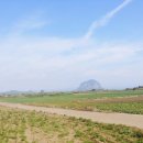 단산농원 이미지