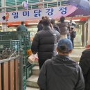 일미야식 | 영월 닭강정 맛집 추천 [일미닭강정]영월서부시장 가족여행 데이트 추천 간식 10년째 단골 내돈내산 후기