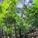 화왕산자연휴양림(창녕) 이미지